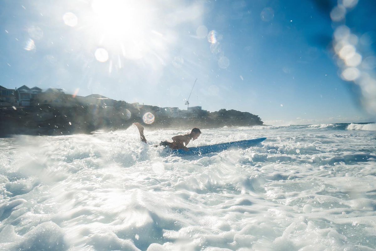 Andrew Reid tweet media