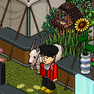 Habbo tweet media