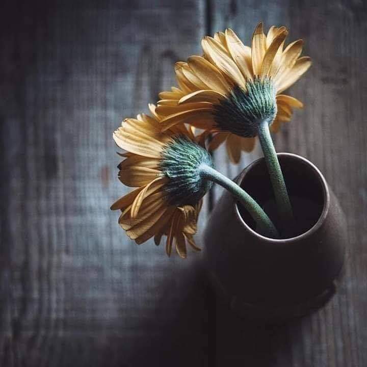 أقرب  من تراه ليس
 الذي أمام عينيك... 
بل الذي تغمض عينيك
 فيبصره قلبك ..❤️