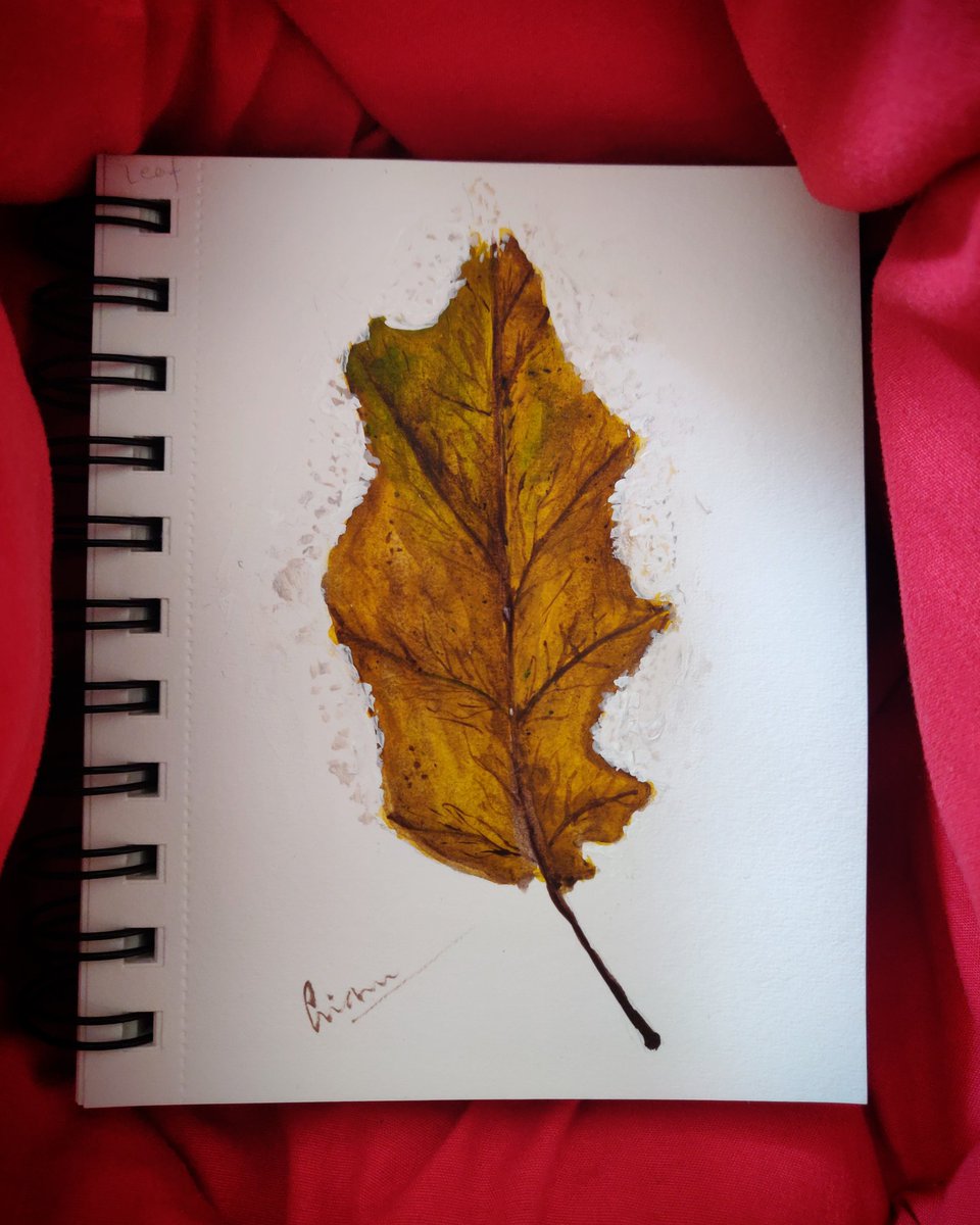 himani_nimje's tweet photo. Acrylic colours on @brustro_official A6 sketchbook
For fine strokes used @montmarteart brushes

#leaf #autumn #driedleaf #leaves #dried #acrylicpaints #acrylic #acrylicpainting #painting #paintings #paint #white #green #brown #paper #sketchbook #a6 #autumnleaf #autumnleaves #fall https://t.co/DtSyrXmnbM