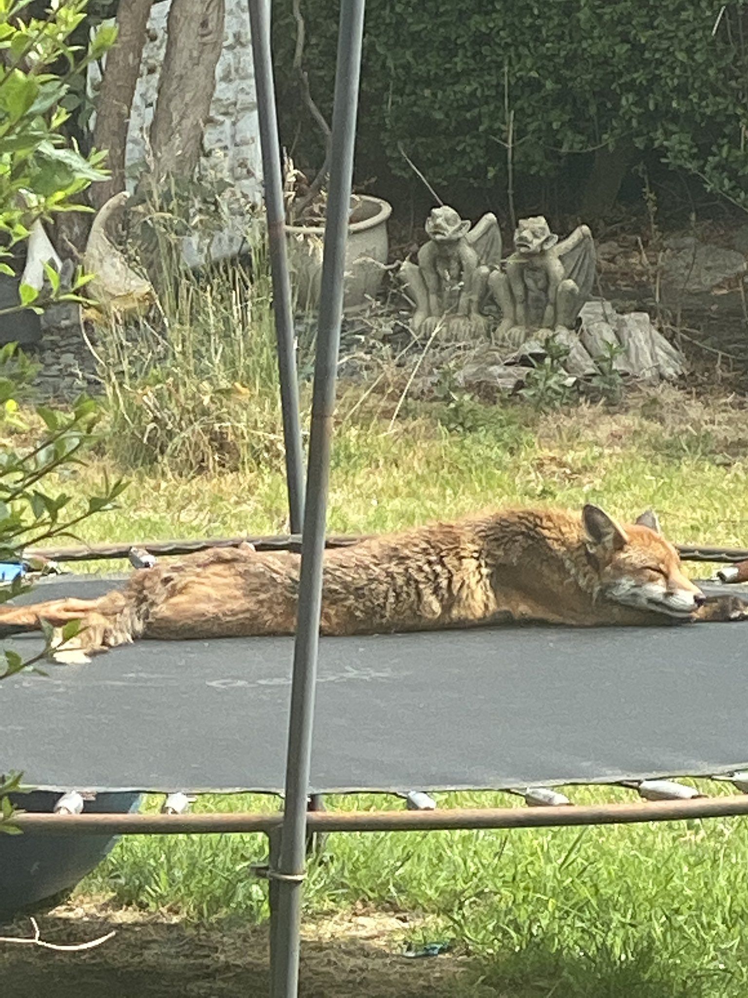 EaYW8g2WkAAWvOB?format=jpg&name=large