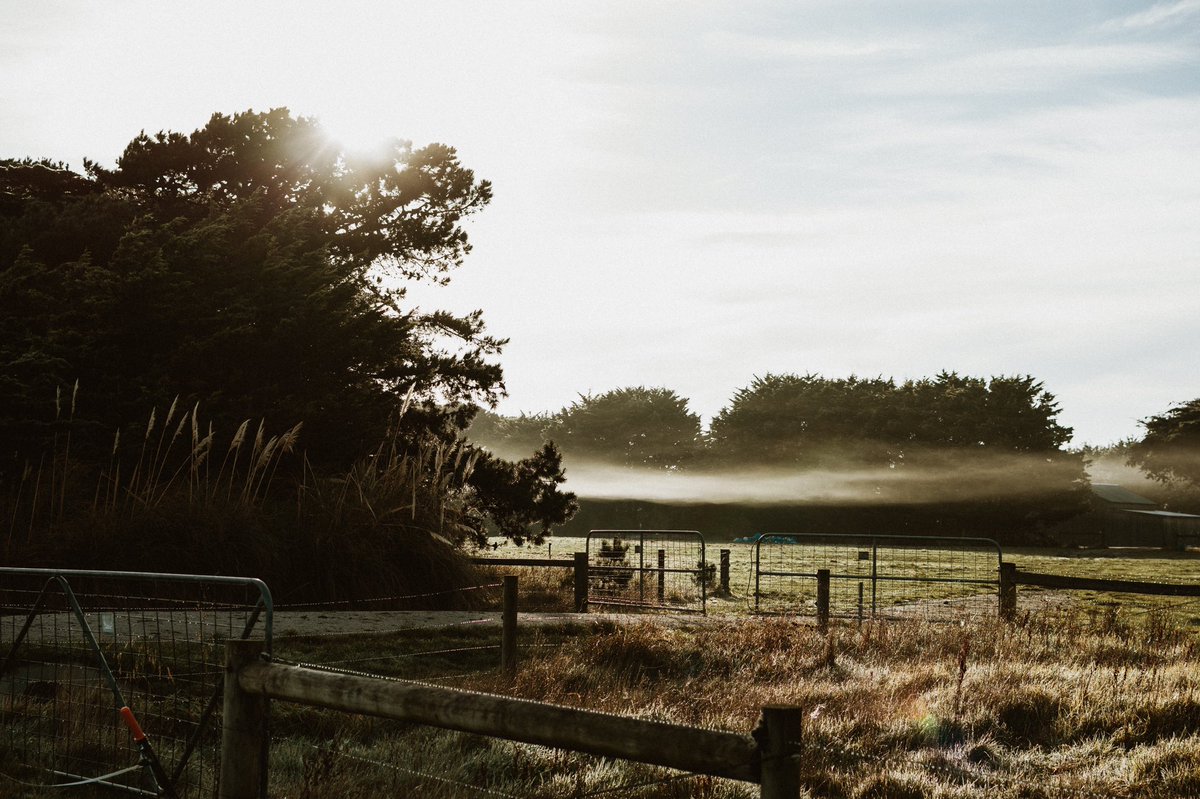 Can’t get enough of these still mornings