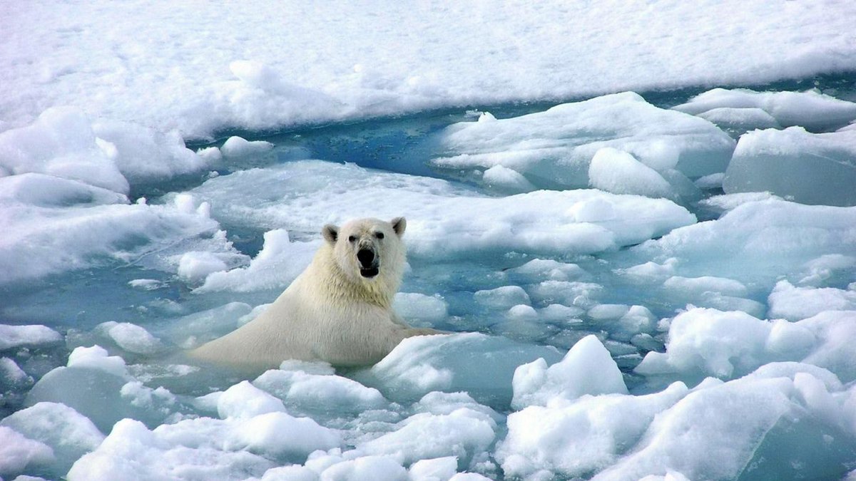 Photographer (@star192323) on Twitter photo 