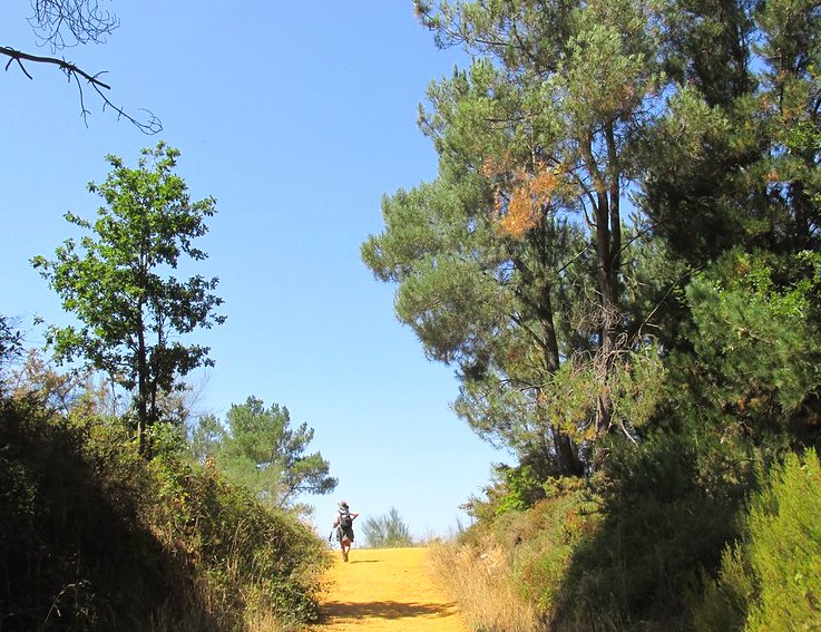 Cielos azules y una brisa fresca, Summer on the Camino in Galicia. Este año veraneamos en España.

#caminoANDenglish #Turgalicia #Galicia #EsteVeranoHagoElCamino #EspañaTeEspera #Verano2020 #QuedamosenGalicia #galiciamola
<a href="/redaccionmedica/">Redacción Médica</a> @Consalud_es