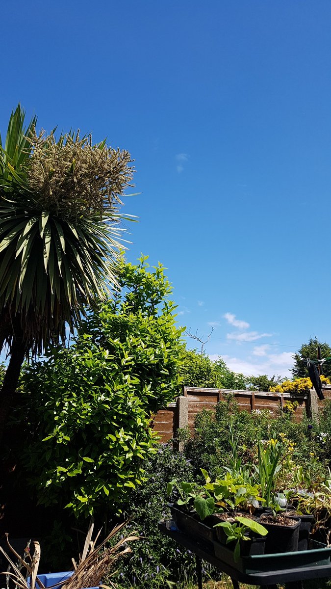 dettybo's tweet photo. Dear summer, I know this year hasn't been great what with the plague but if you could stick around I think it would make us feel better. Thanks. #nevertoohot #sunny #CostadelDartford #noholidayforme https://t.co/DA4VBDvW1j