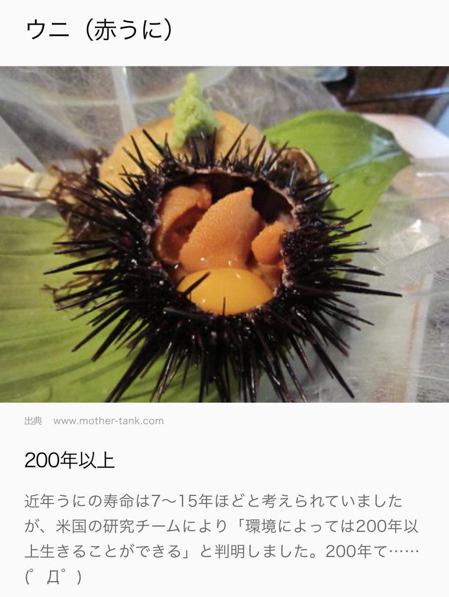 O Xrhsths Iso Sto Twitter ペット 飼いたいけど死んだ時悲しいから出来る限り長生きなのがいいし しょっちゅう旅行行くから世話が少なくて済むのがいいし 入手難易度も簡単なのがいいし かつ身近で親しみのある生き物が良いな とか考えてたら ウニしか残らなかった