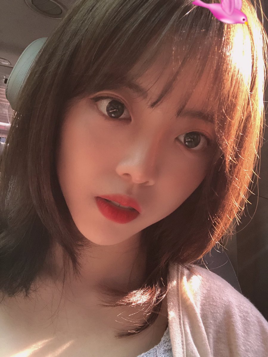 WekiMeki's tweet photo. 하라메 나왔대요~~~~
웁시~~~~~
#☁
(차는 정차해있었습니다😌) https://t.co/ffrNiHjHb2