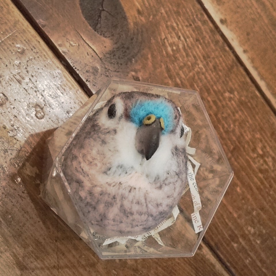 関西つうしん アキクサインコのお顔ブローチのオーダー作品が到着 通販発送準備中 お顔ブローチ インコと鳥の雑貨展でも 好評な作品 通販 6月30日迄強化キャンペーン中 工房小鳥屋さん作品ページhttps T Co D4fzkhndq8 工房小鳥屋さん 関西 関西つうしん アキクサインコのお顔ブローチのオーダー作品が到着 通販発送準備中 お顔ブローチ インコと鳥の雑貨展でも 好評な作品 通販 6月30日迄強化キャンペーン中 工房小鳥屋さん作品ページhttps T Co D4fzkhndq8 工房小鳥屋さん 関西