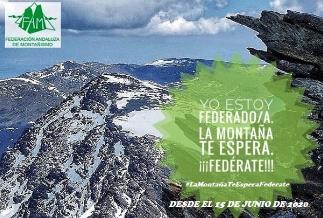 mlarraez tweet media