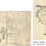 main image of this resource