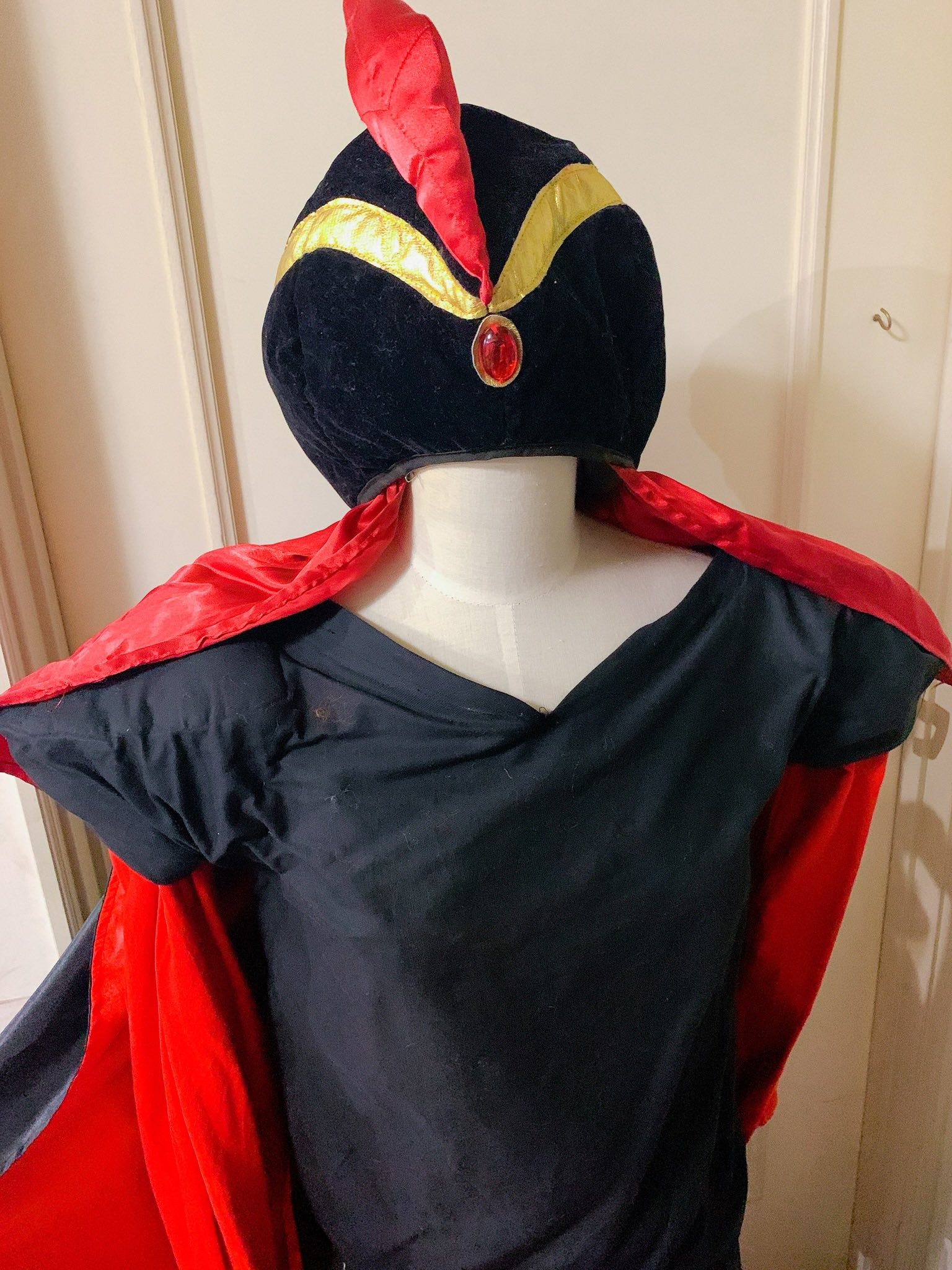 嘉肴 まだね 衣装の作り方とか知らない時代に作ったジャファー様の衣装 帽子はディズニーで売ってたやつなんだけど 仮装をやり始めた頃にやってた時の よくやったなぁ って感じなんだけど 好きすぎてね 色んな思い出が詰まってて中々捨てられ
