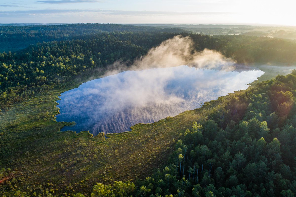 Photo: Marius Jovaiša