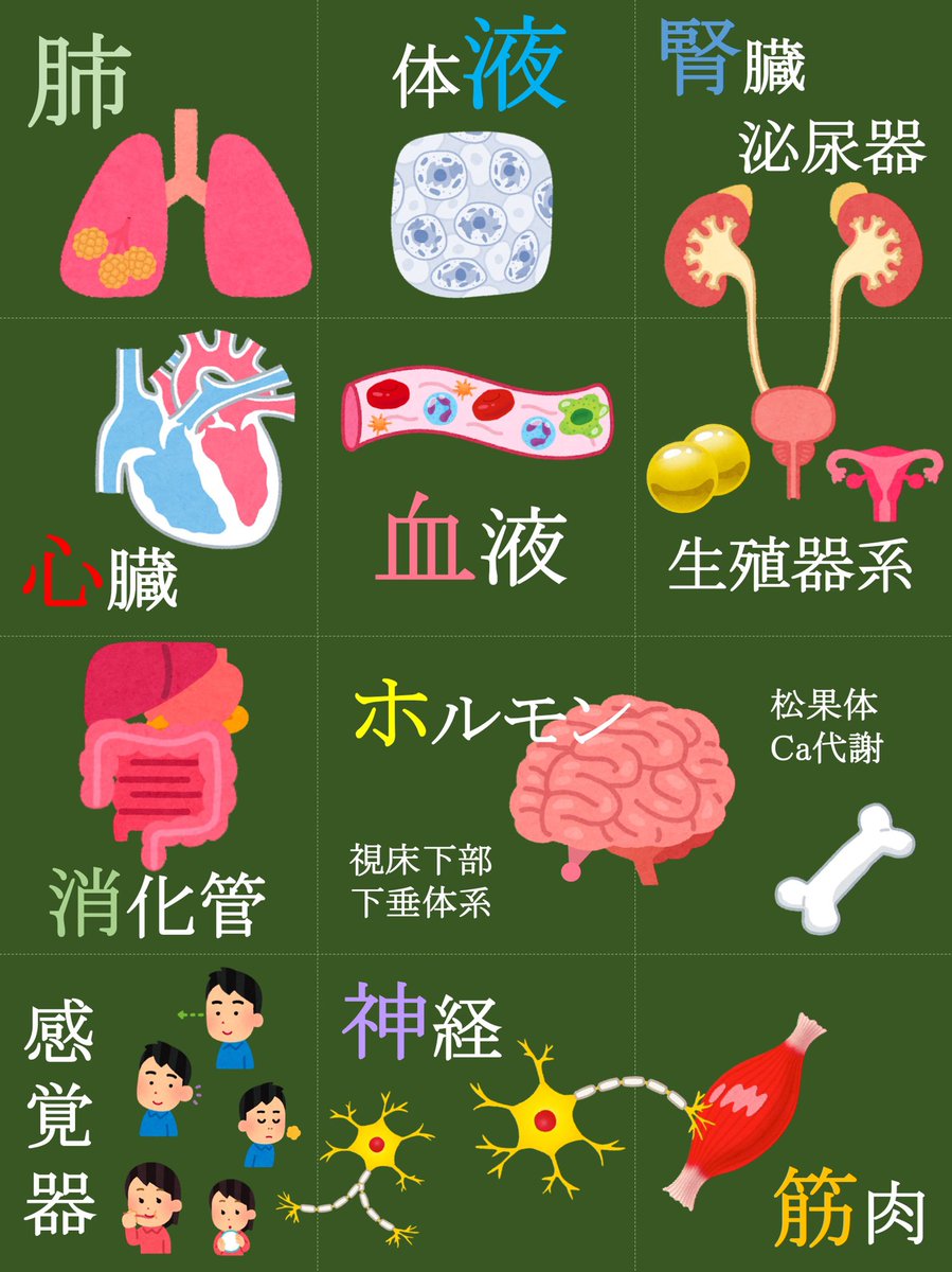まこ太 On Twitter 今の解剖がもうすぐ終わったら取り掛かろうとおもっている臓器別解剖生理学の表紙 まさかのいらすとや大活躍