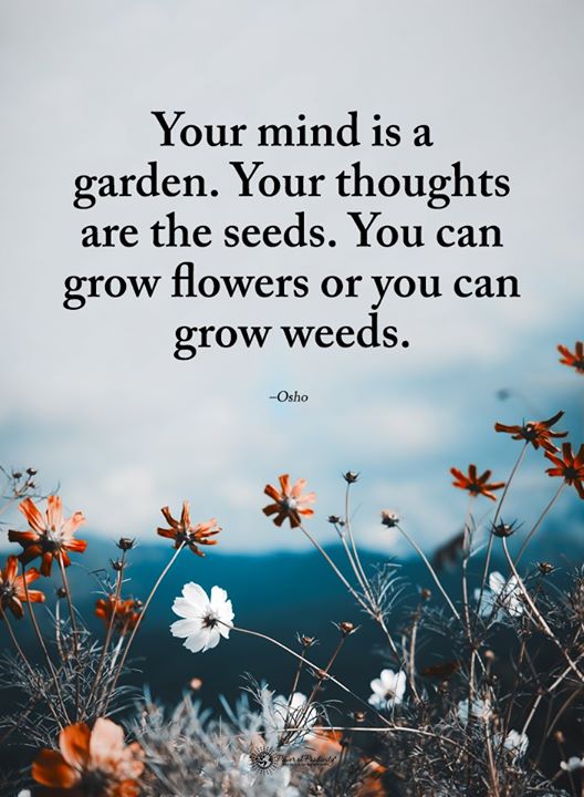 FitFrenchKiss's tweet image. #mindset