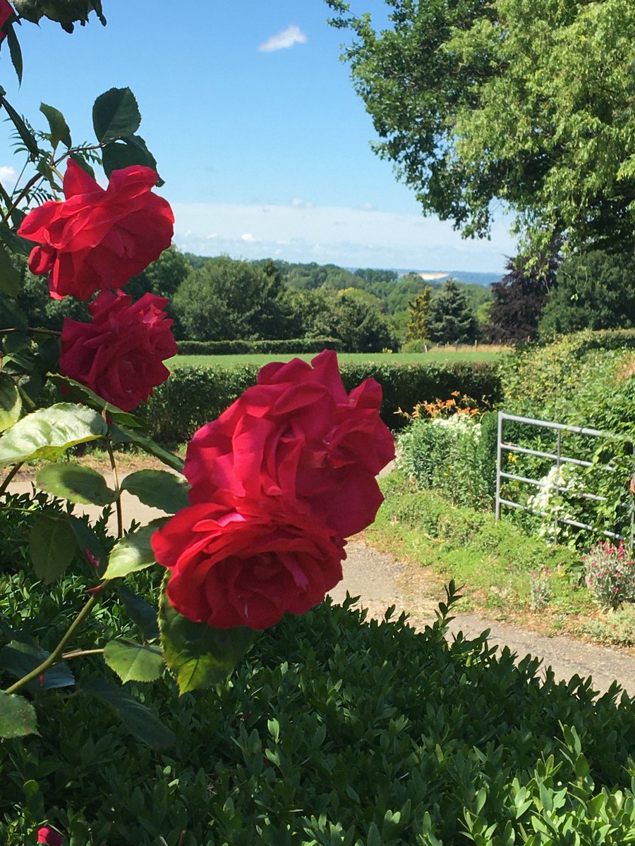 frank lemlijn (@lemlijnf) on Twitter photo 