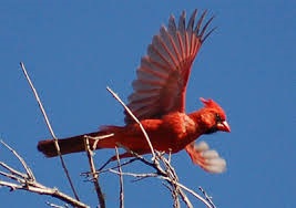 Machen Sie einen Ausflug zu unserem wunderschönen Park und behalten Sie tolle Eindrücke! aktun-chen.com/de