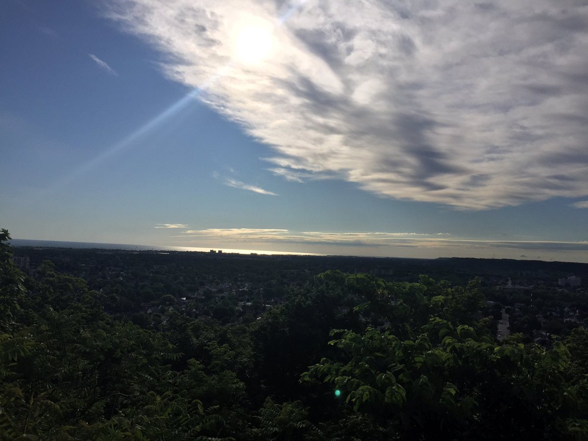 Tamara Cummings tweet media