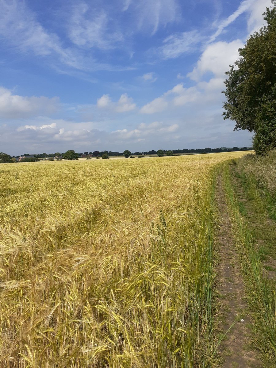 kvtr01's tweet photo. 10 miles in weather comparable to #SCWU 2019 #roasting #humid 2000 acres of sky #Cheshire sadly lacking in hills ๐ https://t.co/5wAPAU6Rta