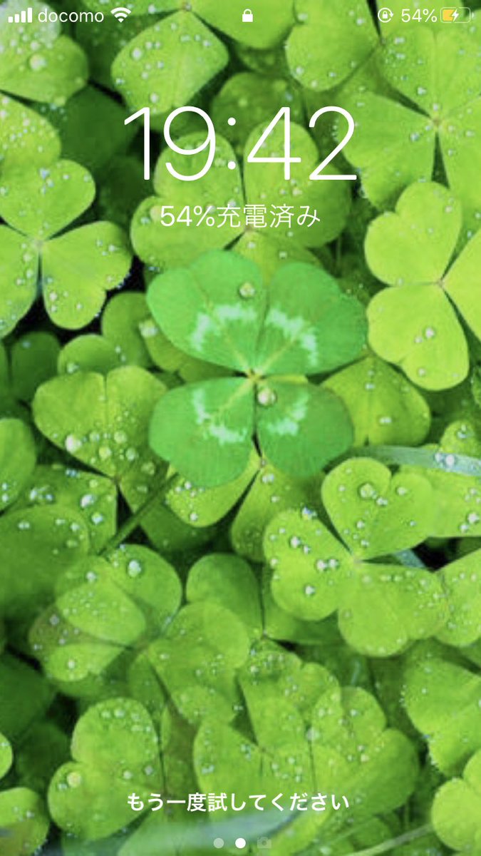 ところ ガチャ運を高めるために運勢上がる画像ってググッたら出てきたクローバーの写真をロック画面にしております