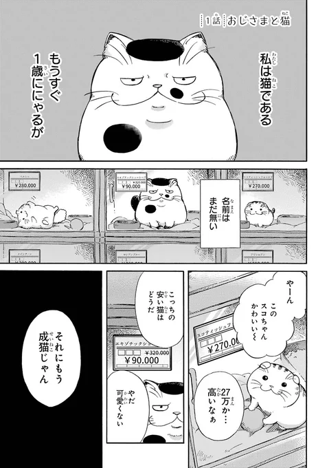 【おじさまと猫】始まりの話。
只今Amazon電子書籍の『おじさまと猫1巻』が無料読み放題中です。
(7月2日までなのでお忘れなく)
この機会にどうぞ↓
https://t.co/cPKhw33HTZ 