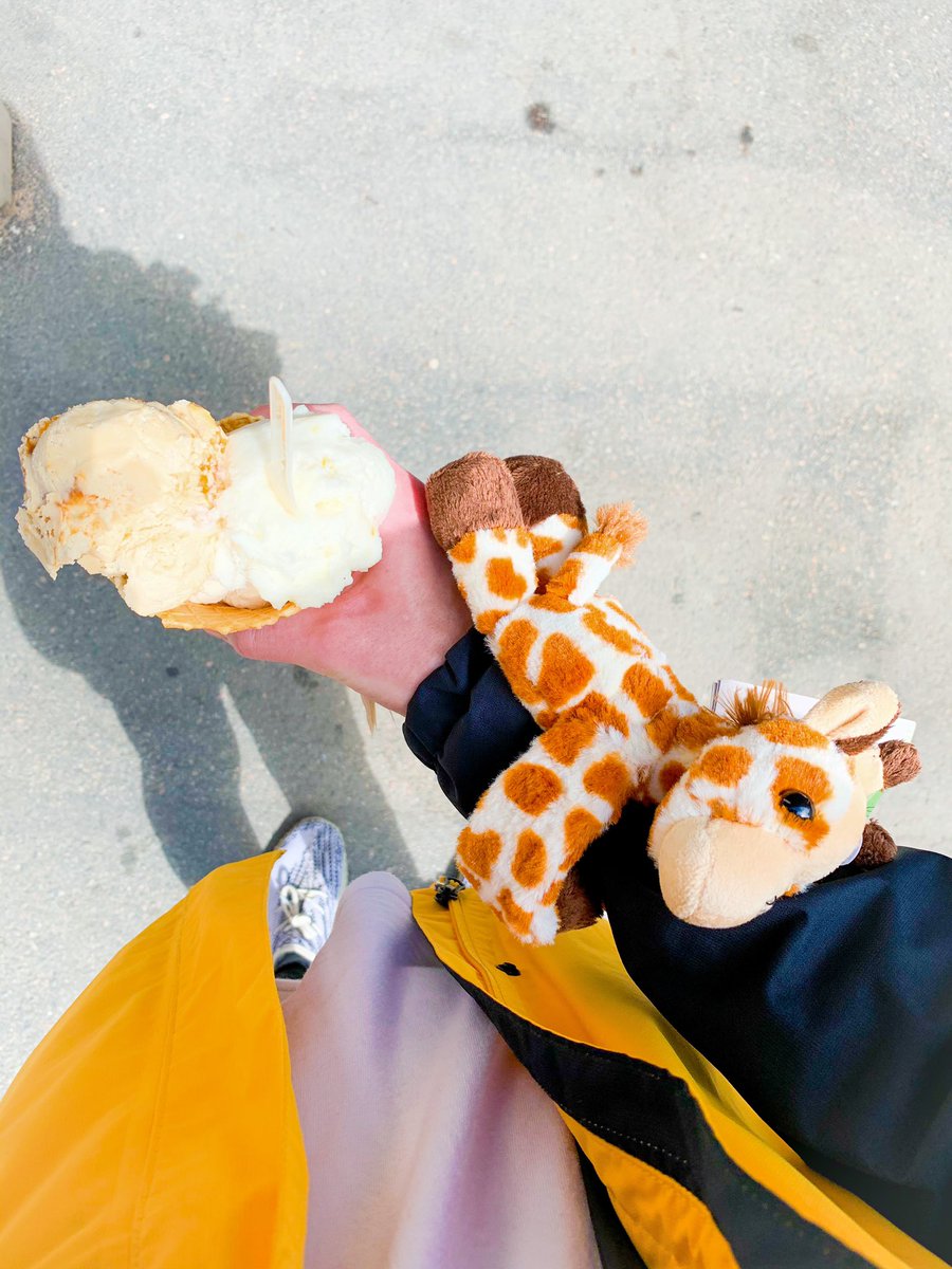 DrakenLilla's tweet photo. Me and @Little_Pebster forced our daddies to go to the ZOO!🤩☀️🎒🦍🦧🦓🐆🐊🐫🐢🐬🦩👦🏼🧒🏻🍭
@DrakePappa https://t.co/INX65KEn7w