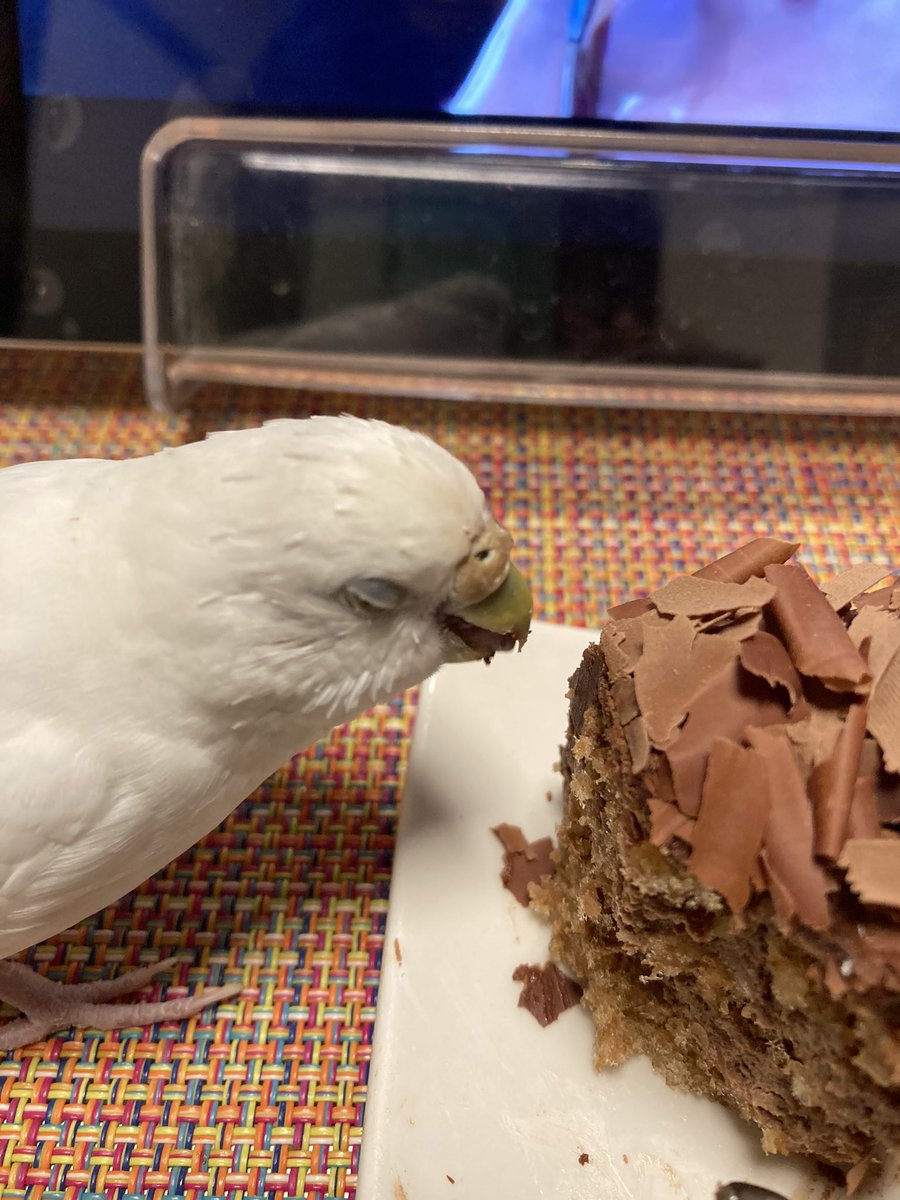 トップスケーキ トップスケーキ