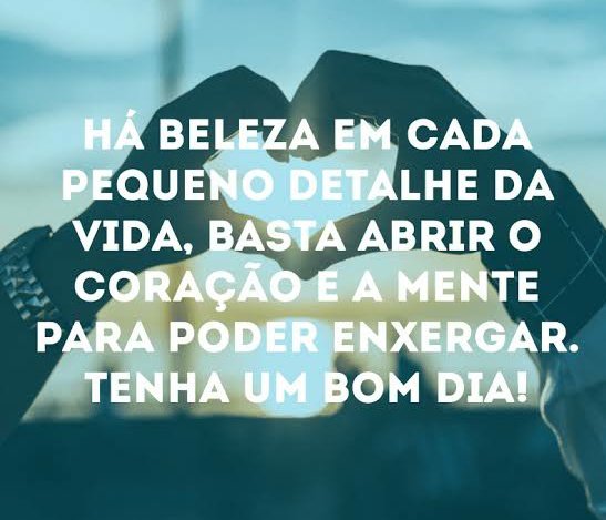 Alexandre tweet media