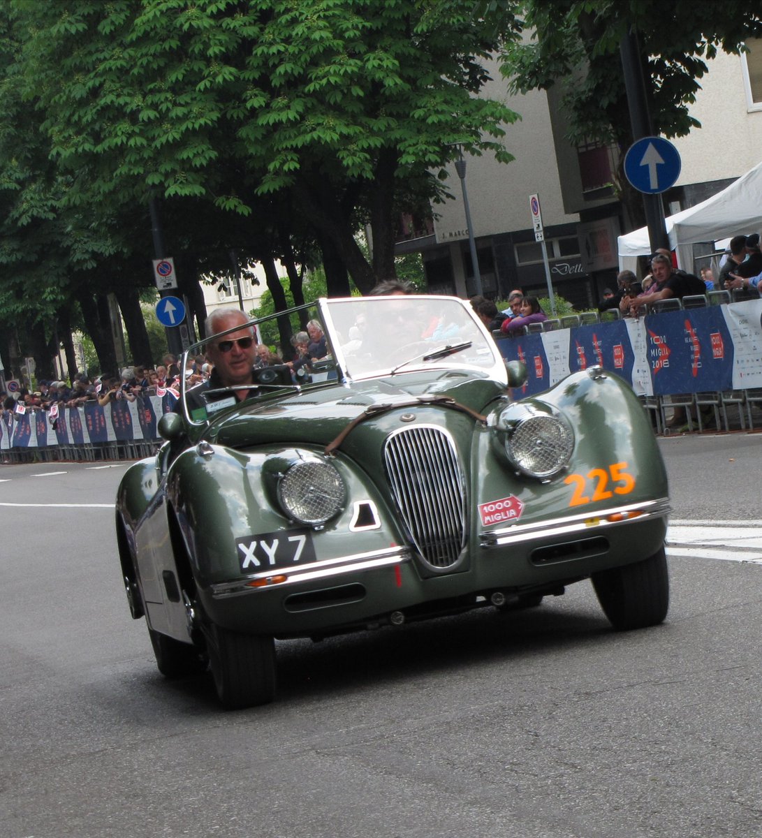 #Caturday #MilleMiglia2018