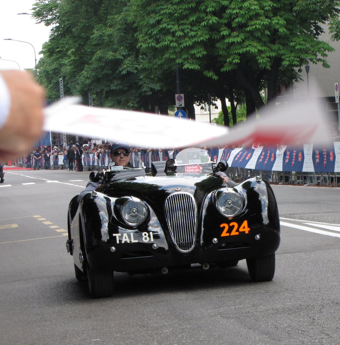 #Caturday #MilleMiglia2018