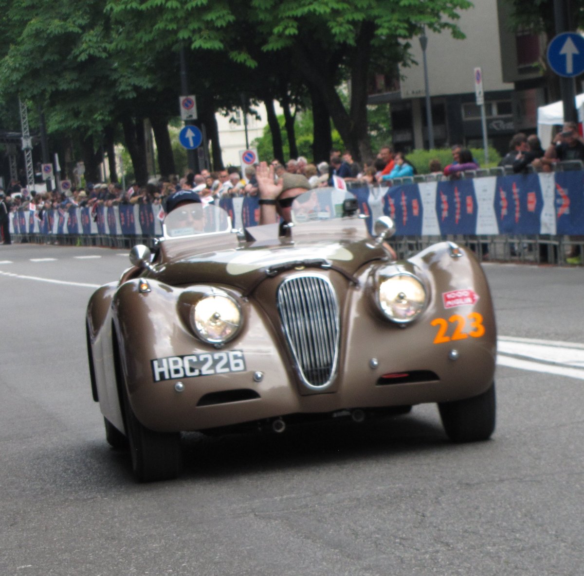 #Caturday #MilleMiglia2018