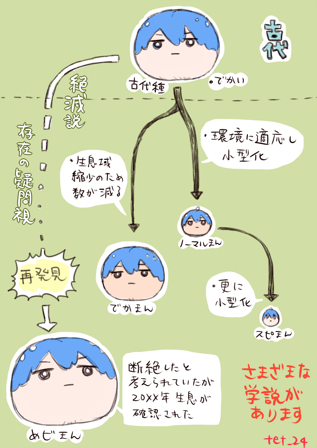 さまざまなまんじゅう… 