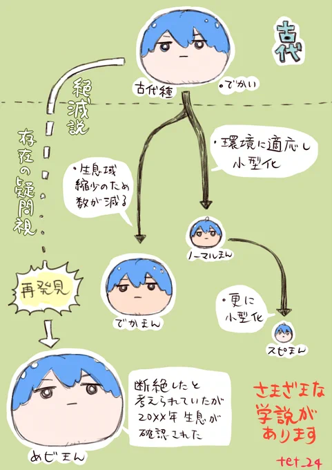 さまざまなまんじゅう… 