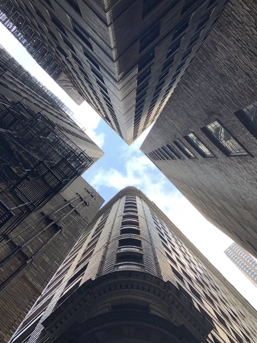 Barski_djetic's tweet photo. |.keep searching.keep looking up.|
#phonephotography #iphonepictures #iphonephotography #choosechicago #thechieye #windycity #chiarchitecture #usaprimeshot #chicagogram #enjoyillinois #pictureoftheday #picoftheday #igcaptures #cityscape #chicityshots #mychicagopix #likechicago https://t.co/QHWoBcs6o2