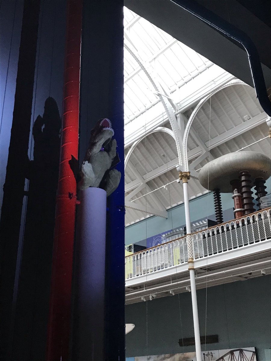 Sarah Guppy tweet media