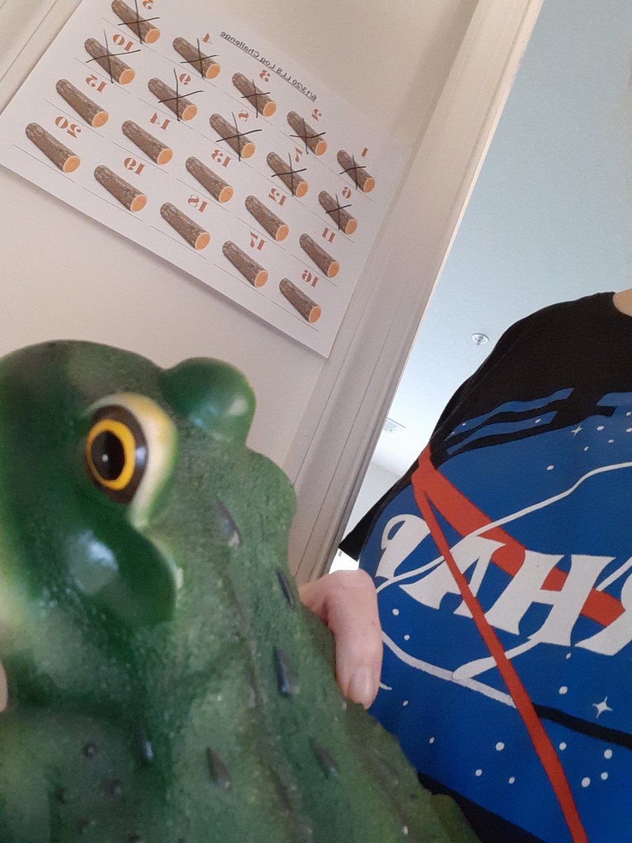 kathiematic's tweet photo. 10 rounds in on the #LLSLogChallenge ! Frog is hanging in there after a consult with the wildlife. #BigVirtualClimb #ClimbConquerCure @EthanZohn https://t.co/ASLO7XyKeF