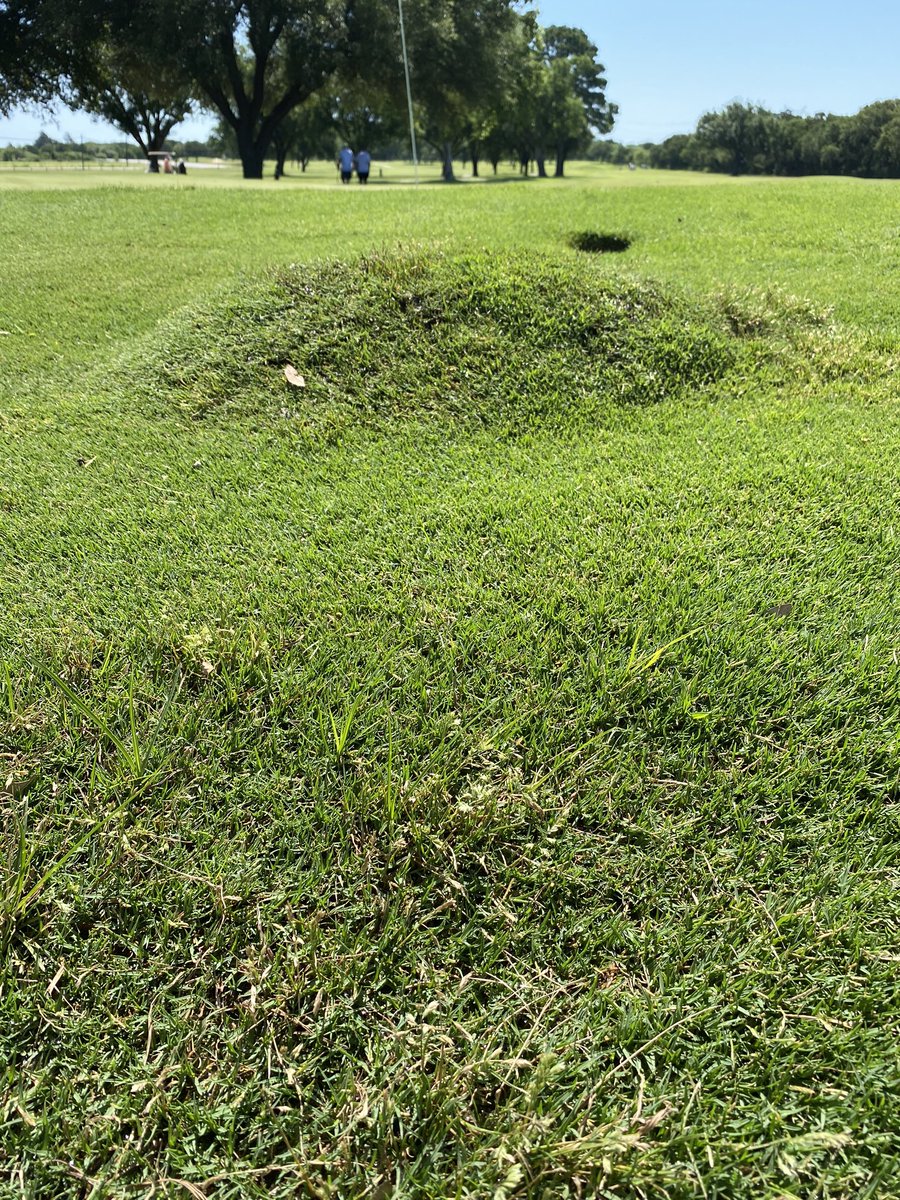 JR_Bohn's tweet image. Not fun on a Saturday afternoon. @grumpysuper @SuperProblems #leak