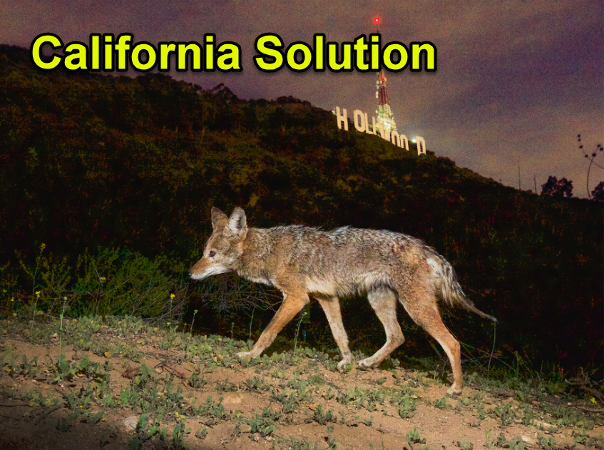 Thread by VideoRon TWO STATE SOLUTION CALIFORNIA 1.The Gov of CA is