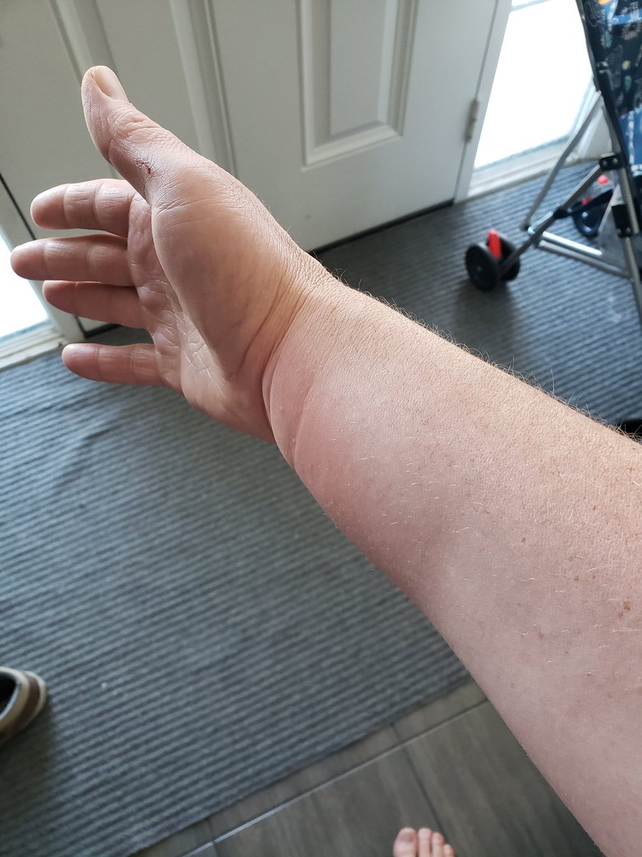 David Haywood tweet media