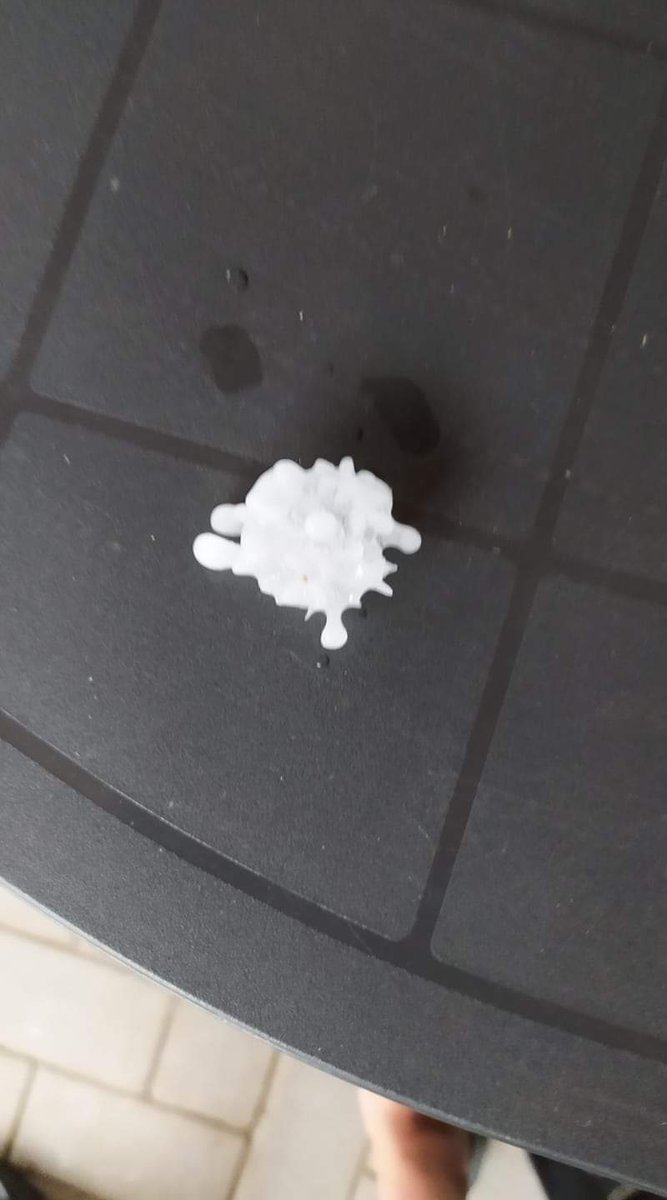 Meteo Roodeschool (@meteoroodescho1) on Twitter photo <a href="/BuienRadarNL/">Buienradar</a> <a href="/helgavanleur/">Helga van Leur ☀</a> <a href="/WilliamHuizinga/">William Huizinga</a> <a href="/janvissersweer/">JAN VISSER</a> <a href="/mrmiddendorp/">Maurice Middendorp</a> Ter Apel hagelstenen van ca 2cm bron foto Martijn Wilkens <a href="/BuienRadarNL/">Buienradar</a> <a href="/helgavanleur/">Helga van Leur ☀</a> <a href="/WilliamHuizinga/">William Huizinga</a> <a href="/janvissersweer/">JAN VISSER</a> <a href="/mrmiddendorp/">Maurice Middendorp</a> Ter Apel hagelstenen van ca 2cm bron foto Martijn Wilkens