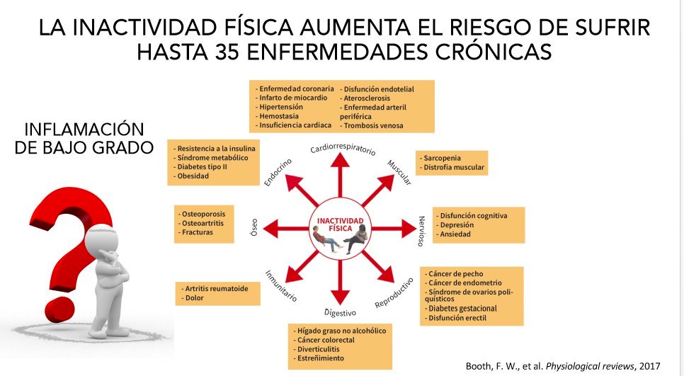 educa_med's tweet photo. ⭐️ Curso de la semana: Ejercicio físico y salud. Desde los principios hasta su aplicación.🏃🏻♂️
⚠️Últimos días, aprovecha el descuento!
➡️ https://t.co/XjbrBZfye8
#fissac #fisiologia #exercise #formaciononline #educamed https://t.co/5zUL85ssRb