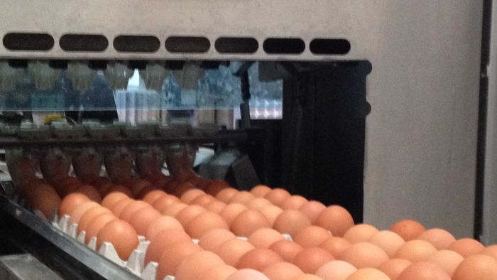 Stan's Account tweet media