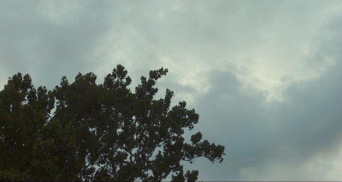 wondersoffilm's tweet photo. COLUMBUS (2017)
dir. Kogonada https://t.co/pAnEtlCn6R