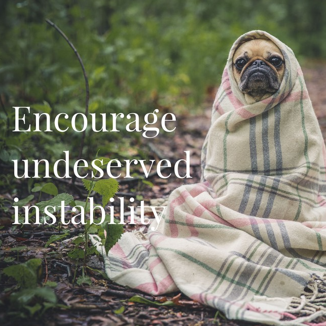 Zack Rusty Pye ヽʕ •ᴥ•ʔﾉ tweet media