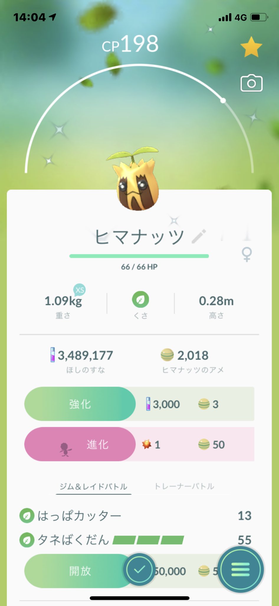 色違いヒマナッツ Twitter Search Twitter