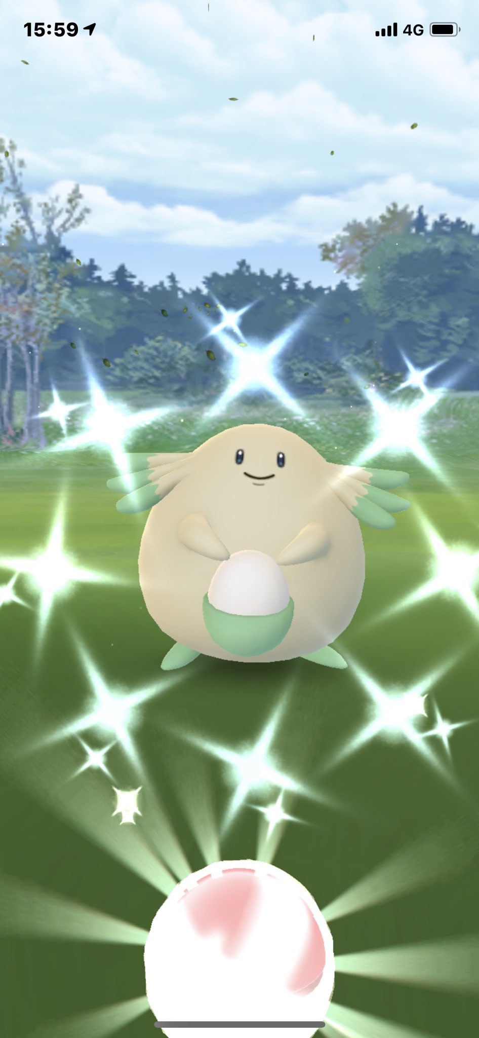 みやりん イワンコレイドご招待お願いします 今日のshinyはラッキーとヒマナッツ ポケモンgo ポケモン Pokemon Pokemongo 色違いラッキー 色違いヒマナッツ T Co H1alsrcw4a Twitter