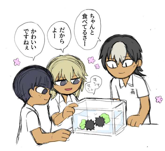 ウニにキャベツを与えて飼育するってやつ サジの漫画 ウニにキャベツを与えて飼育するってやつ サジの漫画