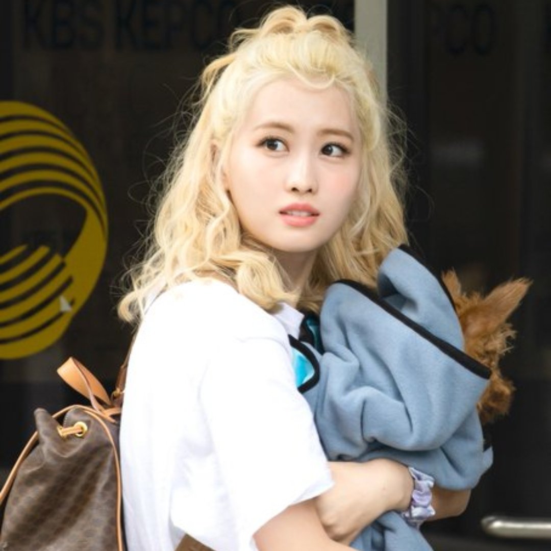 VTwicemomo's tweet photo. I really love these pictures
#momo #boo 
If I feel sad, just looking at these pictures will make me happy
#twice https://t.co/wIZbc7xubj