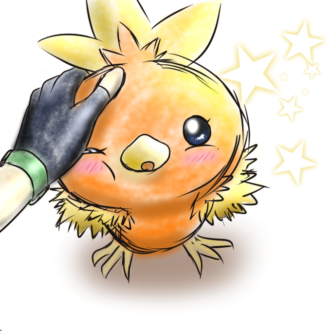 アチャモのtwitterイラスト検索結果 アチャモのtwitterイラスト検索結果