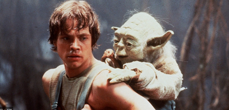 On cherche un stagiaire : valetudo.io/agence-seo-che…