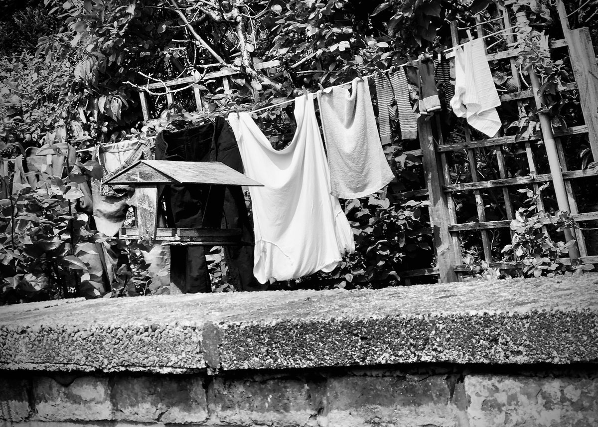 DashboardImage's tweet photo. I Spy: over the garden wall.
#BlackandWhitePhotography #Garden #Clothesline #DashboardImage #Monochrome #Photography https://t.co/VQzRxzqG1H